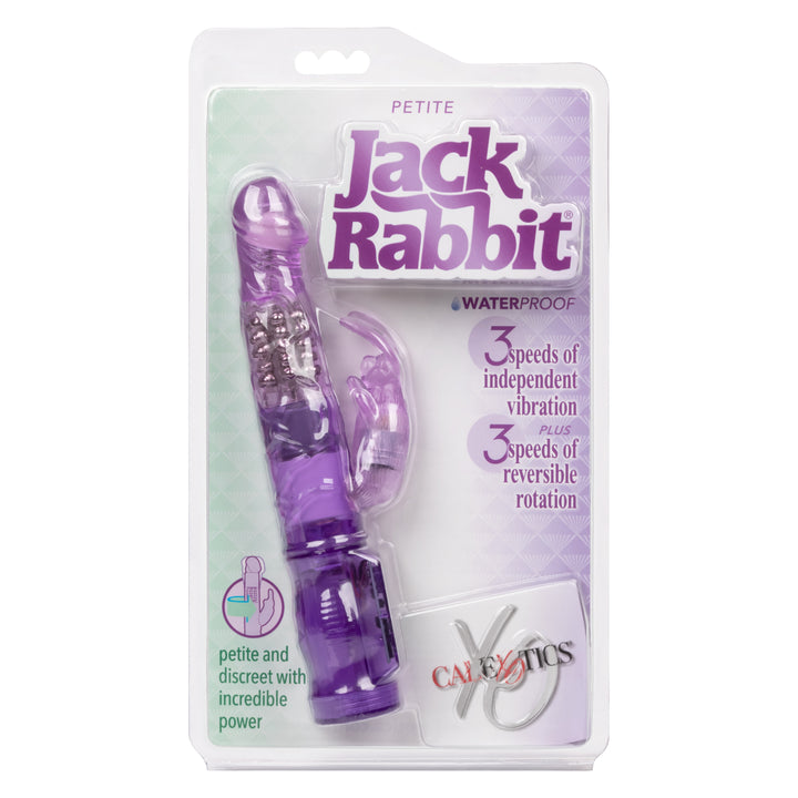 PETITE JACK RABBIT - PURPLE