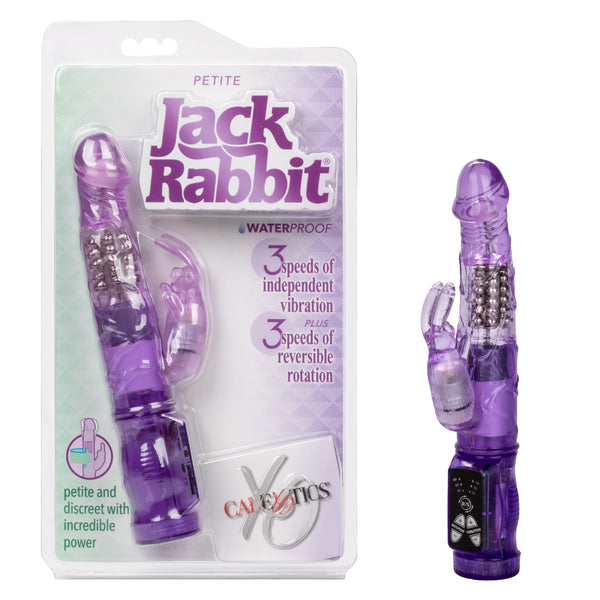 PETITE JACK RABBIT - PURPLE